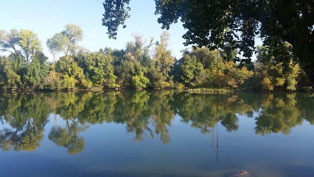 Your Passion Is Your&nbsp;Calling