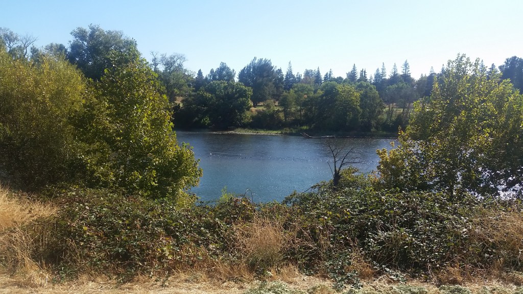 Why I Enjoy Nature&nbsp;Walks…