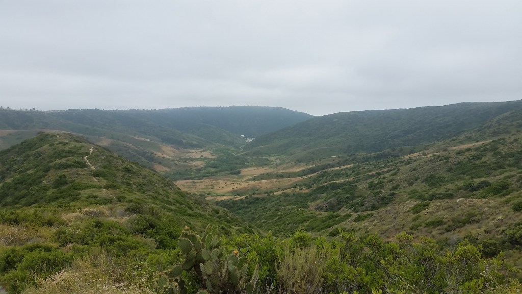 Fighting Through Fear.