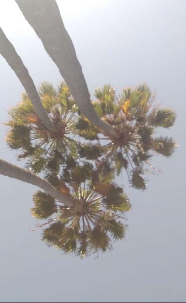 What Do You Do With an Empty&nbsp;Apology?