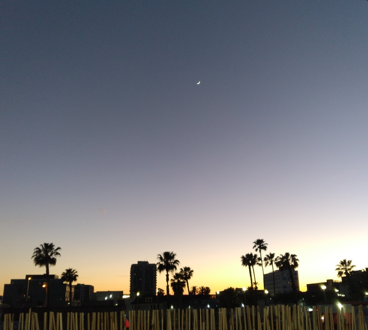 Snakes In The&nbsp;Bushes