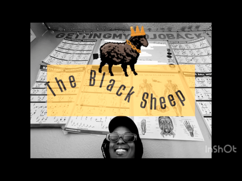 M0j0 Mondays: The Black&nbsp;Sheep!