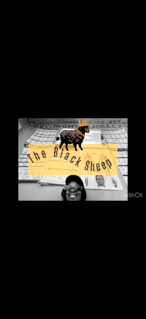 M0j0 Mondays: The Black&nbsp;Sheep!